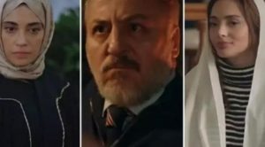 Ortak yanları
