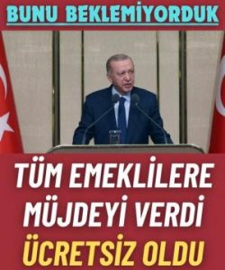 Tüm emeklilere