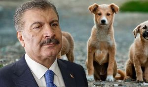 Sözlerine tepki