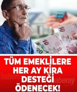 Emekliye destek