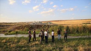 Narin hakkında
