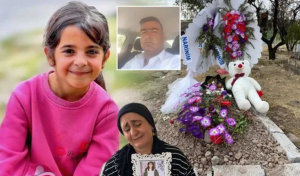 Amcanın kaydı