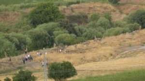 Cep telefonunda