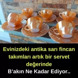 Evdeki fincanlar