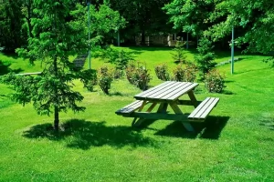 Pikniğe gittiler